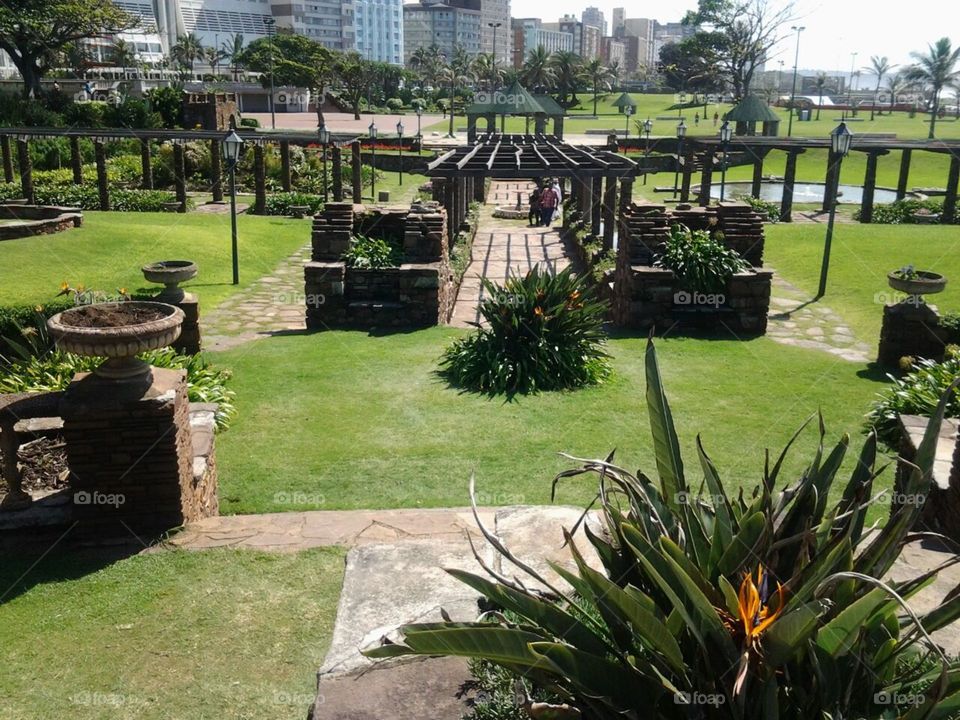 Garden. Flower garden in Durban beach front
