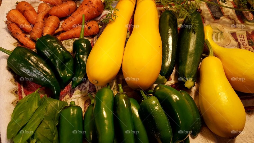 Home Grown Bounty- A variety of fresh produce from our backyard garden.