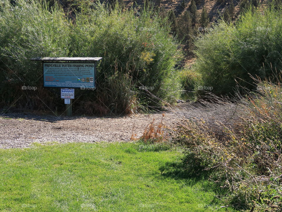 A trail leading to the Prineville Youth Fishing Pond with a sign at Rimrock Park in Prineville on a sunny fall day. 