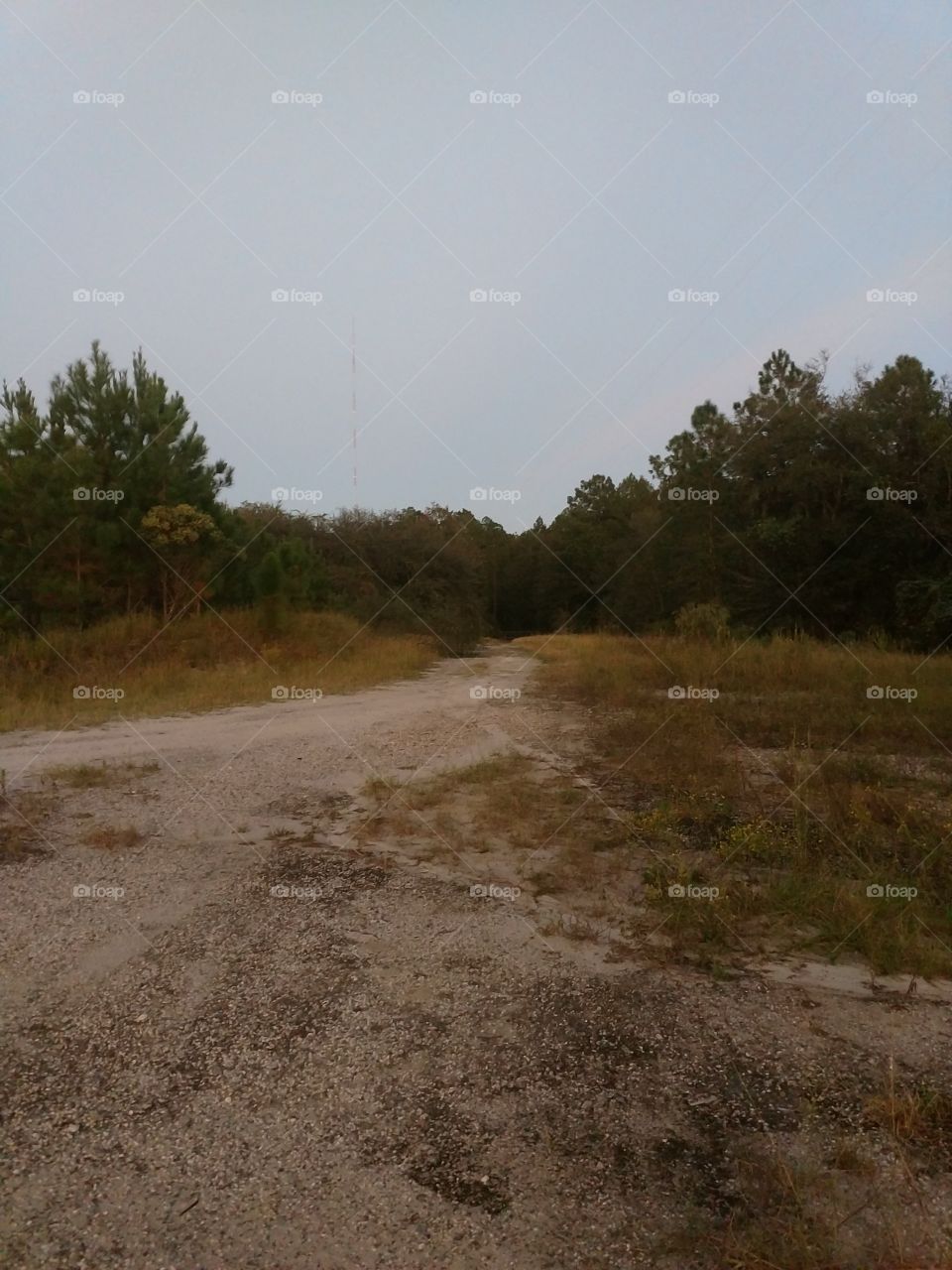 Dirt Road, outdoors, nature