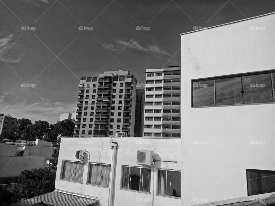 buildings, windows