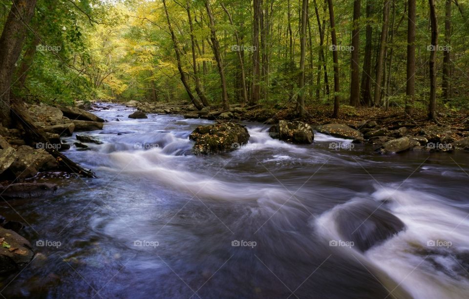 River Movement in Early Fall 