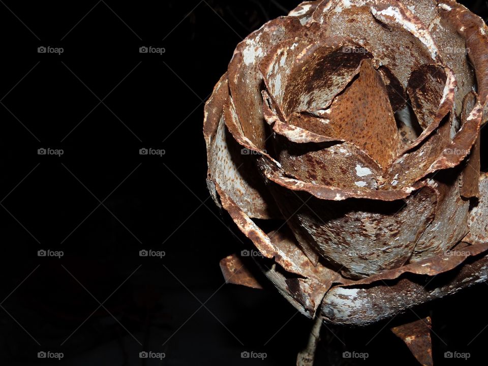 rusty metal flower
