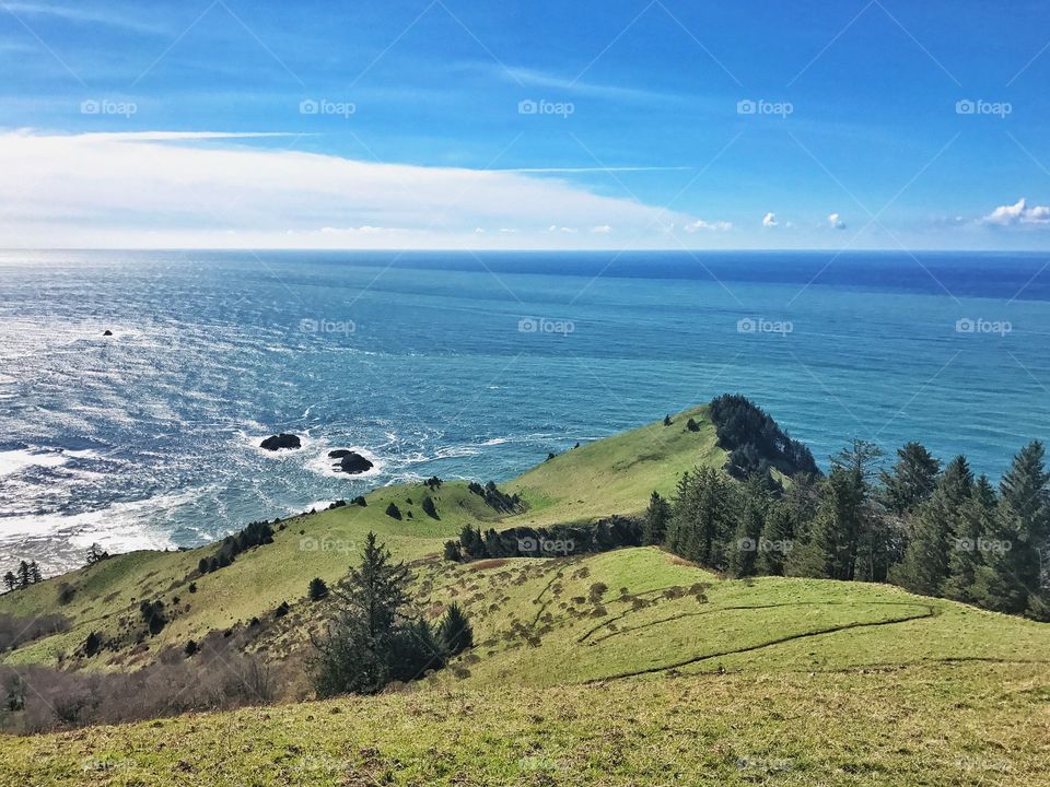 Cascade Head Oregon