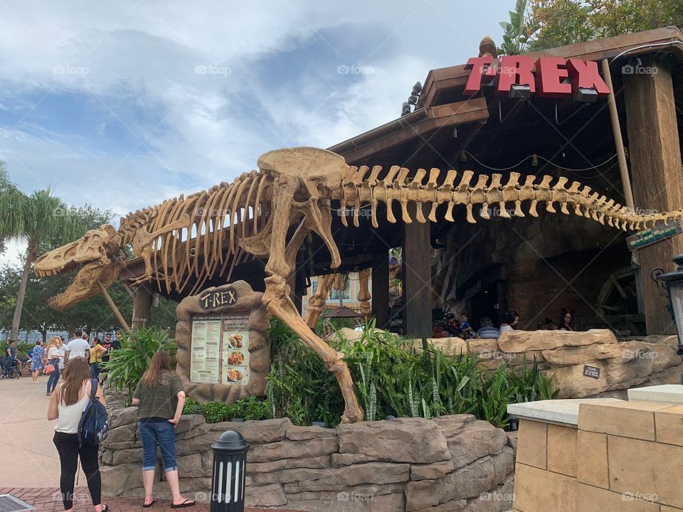 #day123 Everyday WDW Orlando Florida. I have been lost on Disney Properties consecutively since 4/3/19 You can find my encounter https://www.facebook.com/selsa.susanna or on IG selsa_susanna Disney’s Springs 8-3-19 Saturday