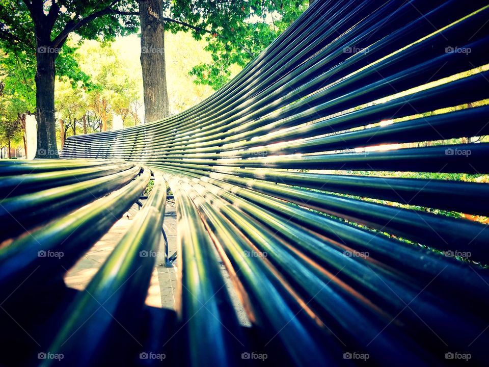 Park Bench Perspective