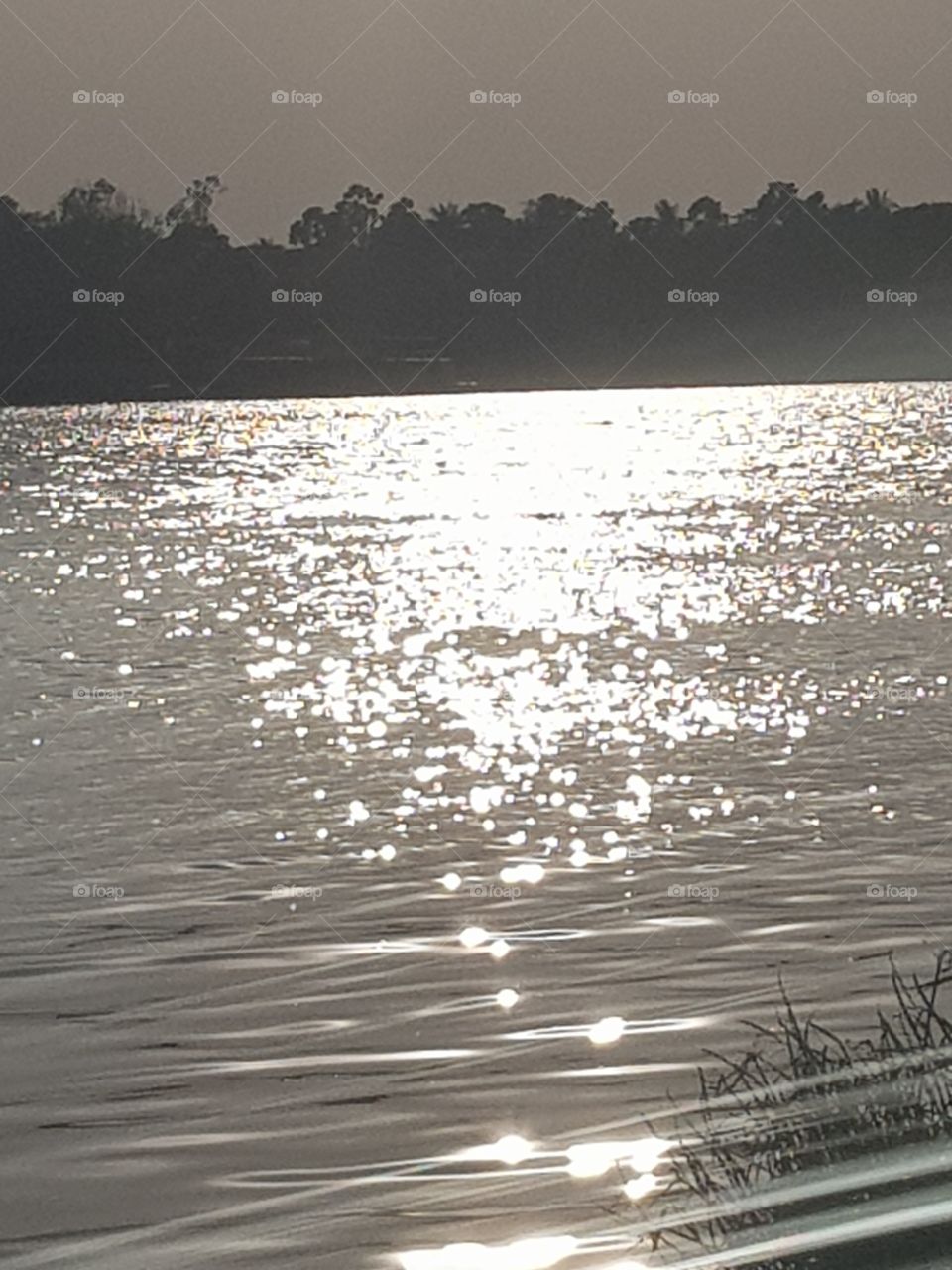 Sunlight Glittering on the River