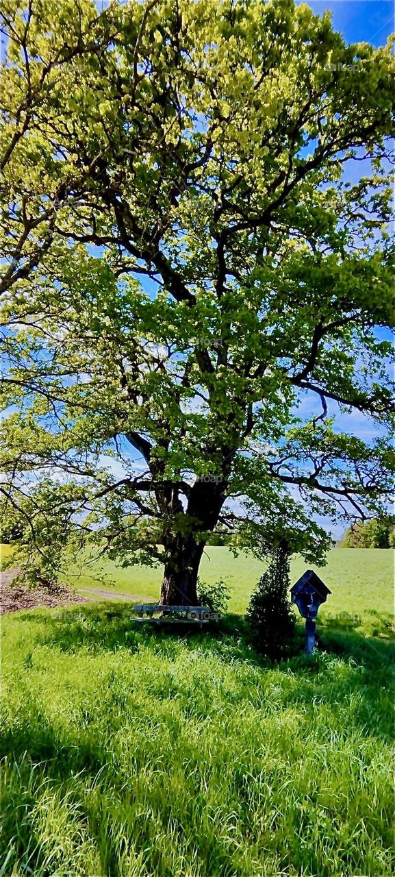 This beautiful landscape is located in the vicinity of „Bayerischzell“, a small township near the Alps in „Bavaria“, Germany. 2024. Hypnotic Productions