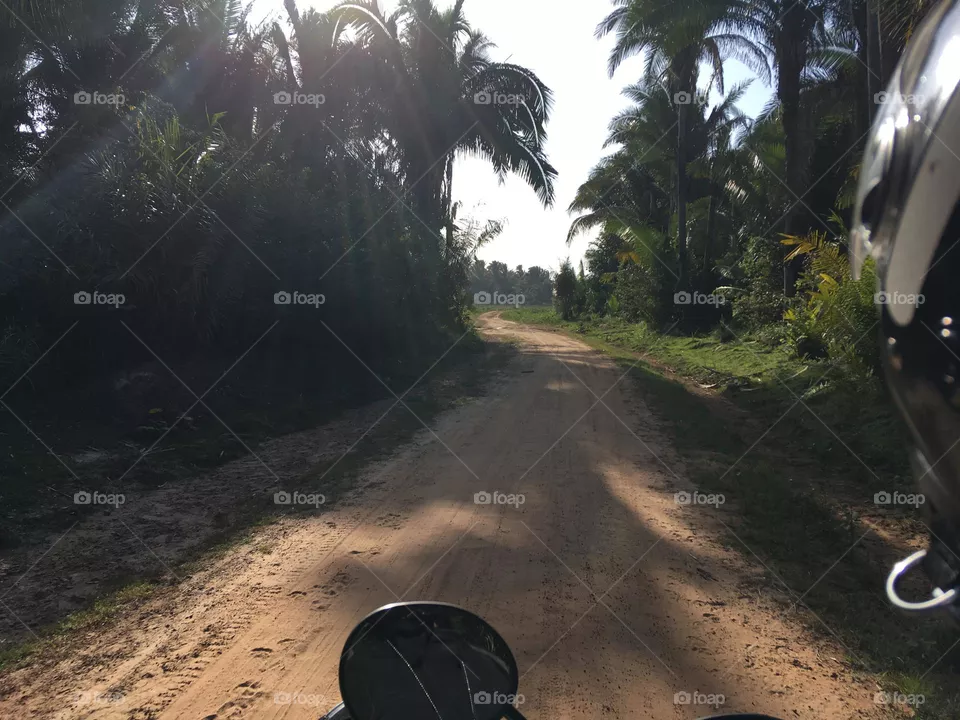 Moto 