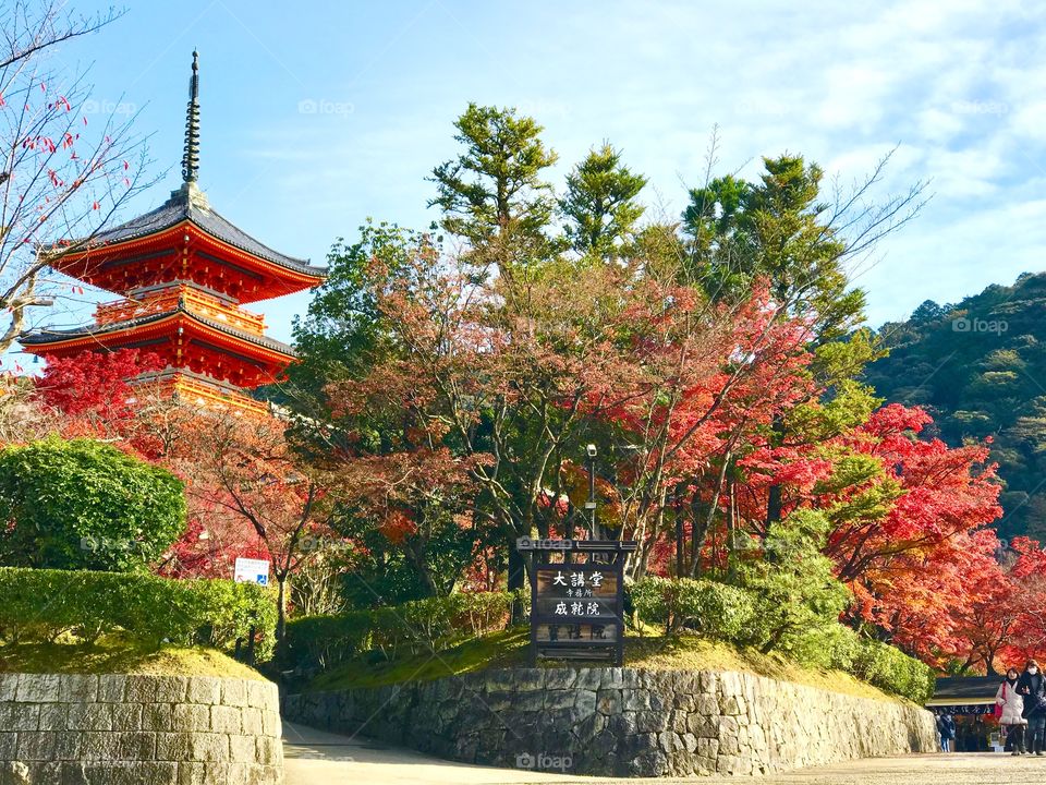 Japanese pagoda 