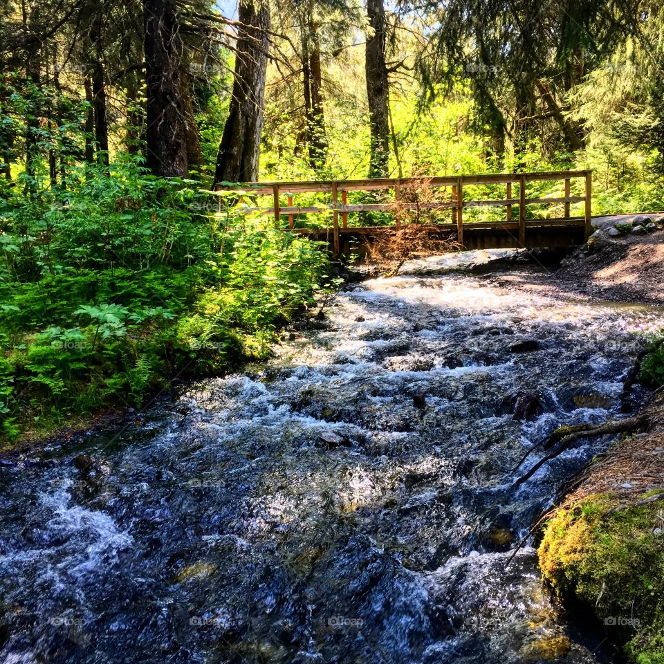 Bridge along a trail near the Alyeska Resort, Alaska