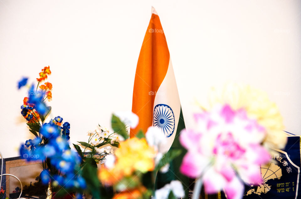 The Indian tricolour. The Indian flag is seen in this picture with some colourful flowers in the foreground which are blurred. 