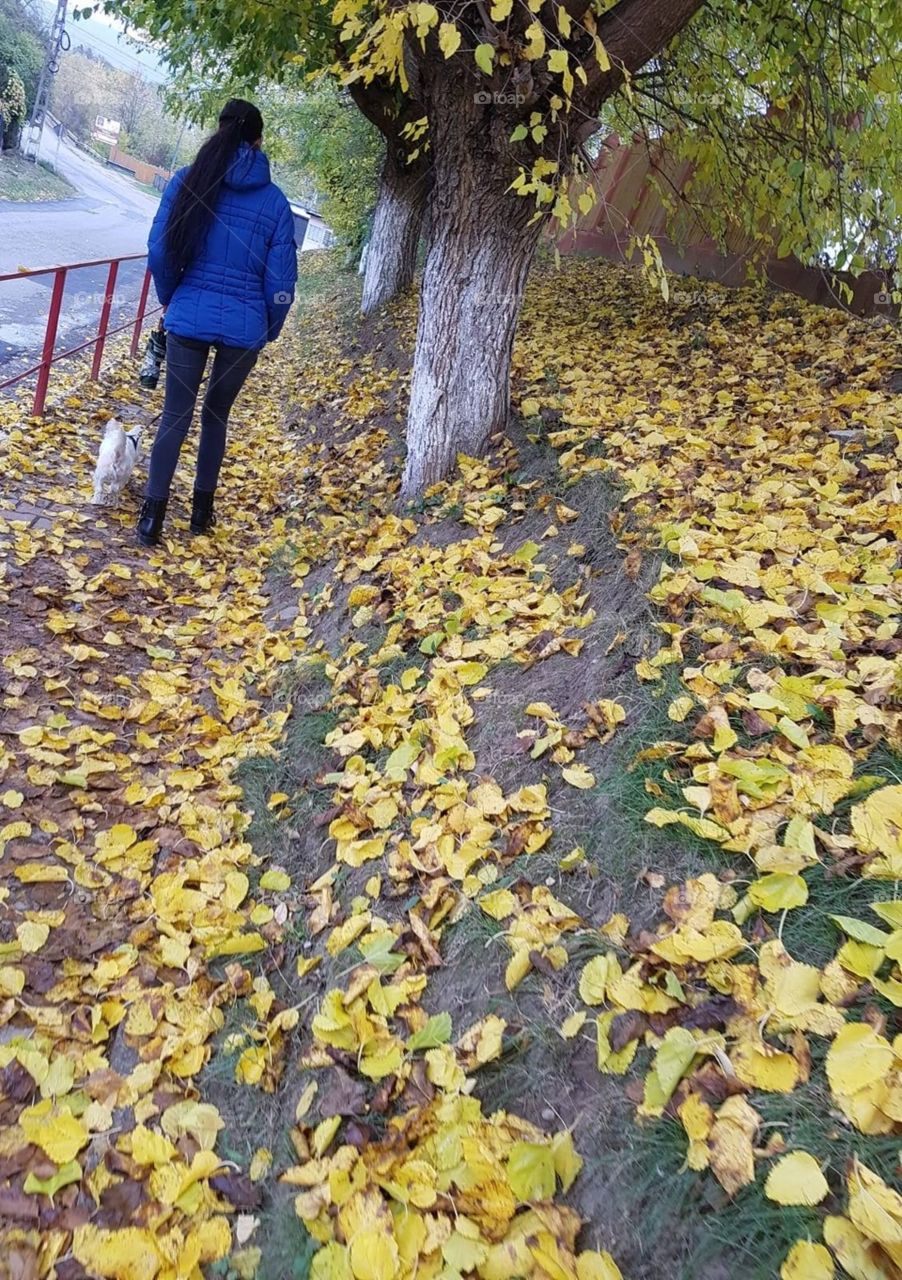 Walk with your best friend