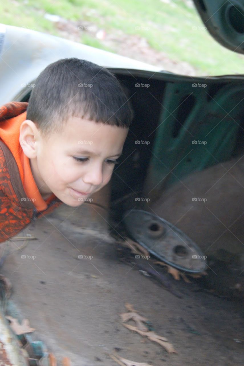 curiosity is is here