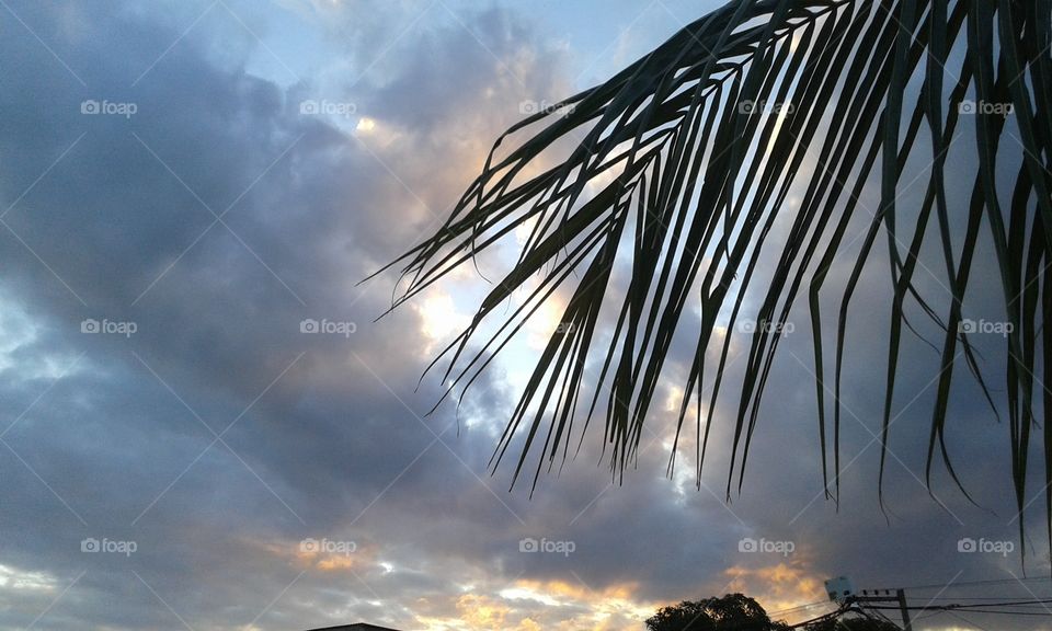 No Person, Sun, Sunset, Sky, Dawn