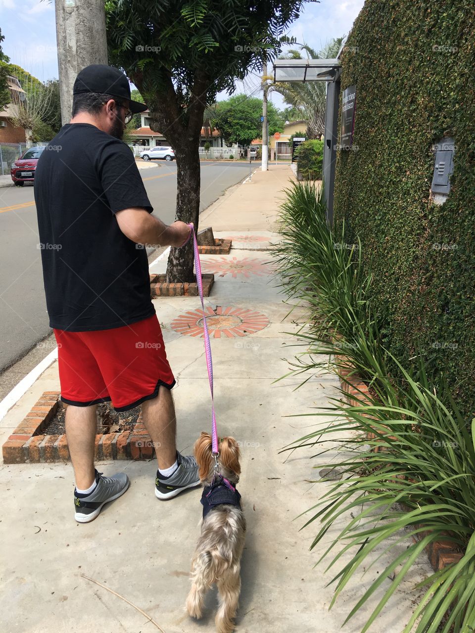 Walking with my dog