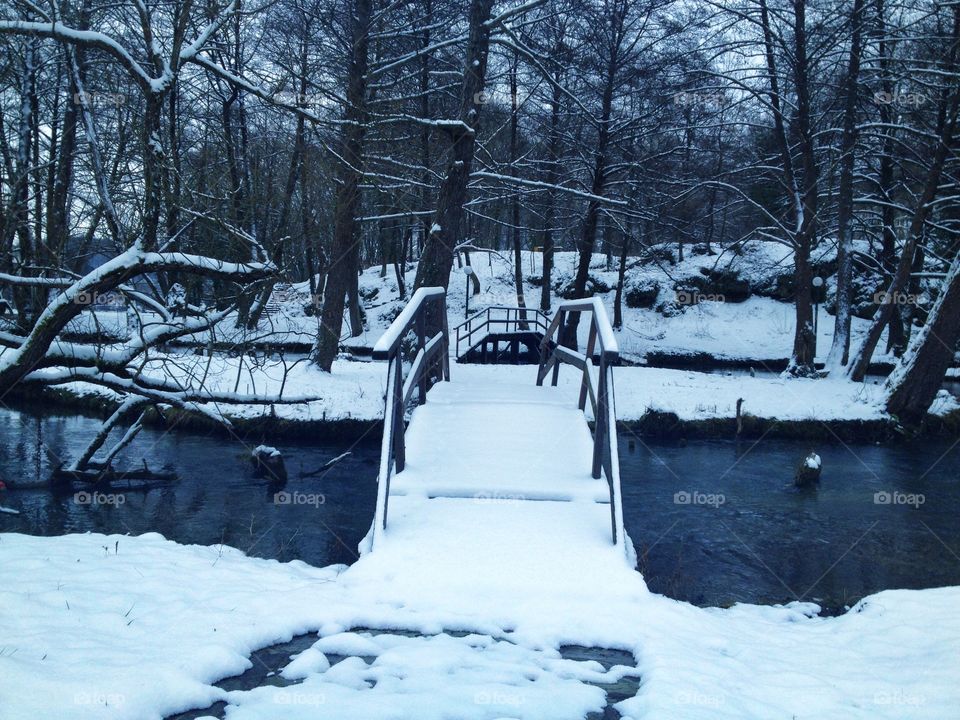 winter bridge