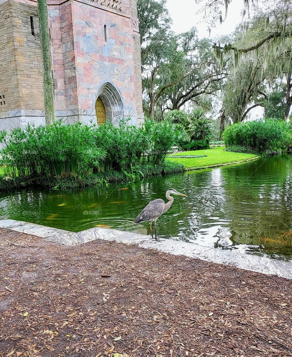 Relaxing Day By a Pond