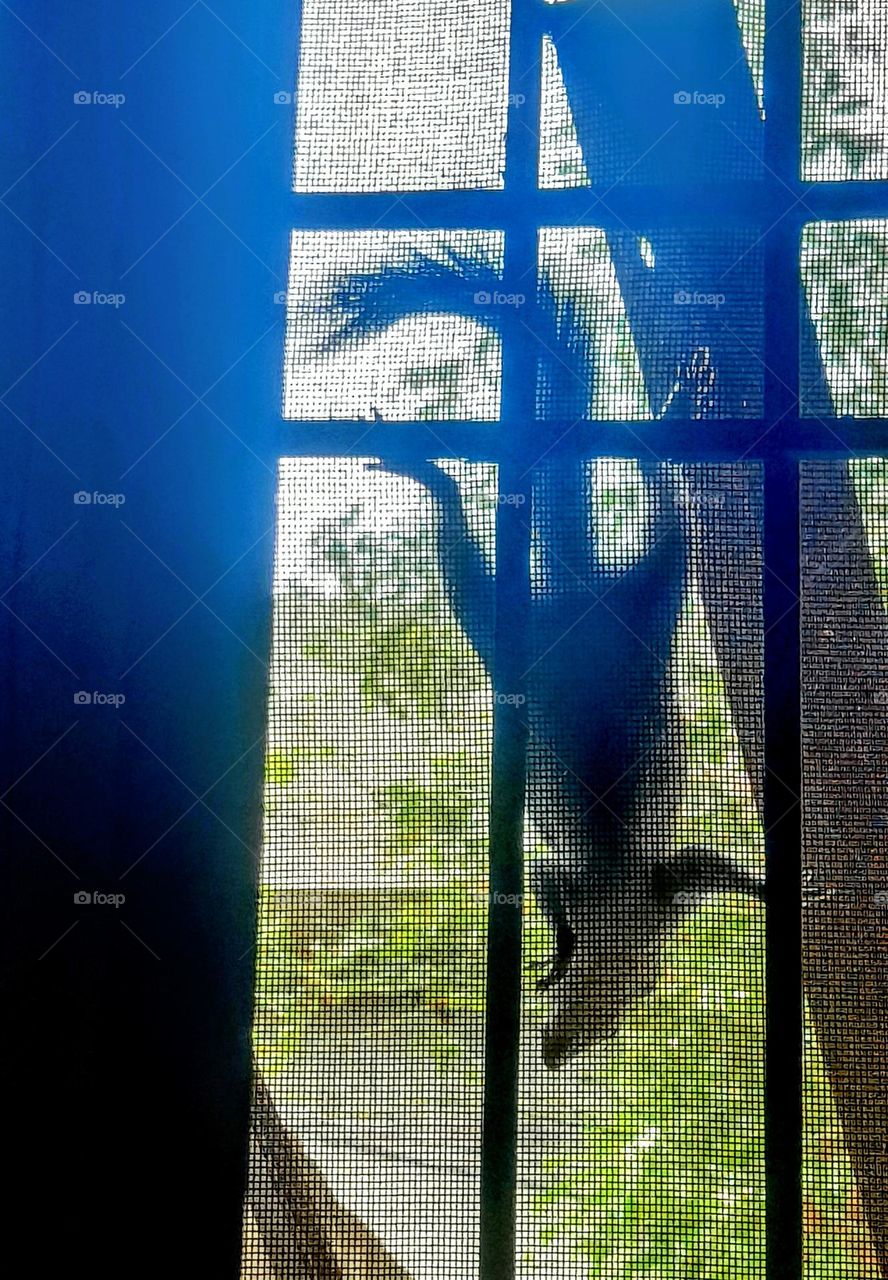 for what she is looking for