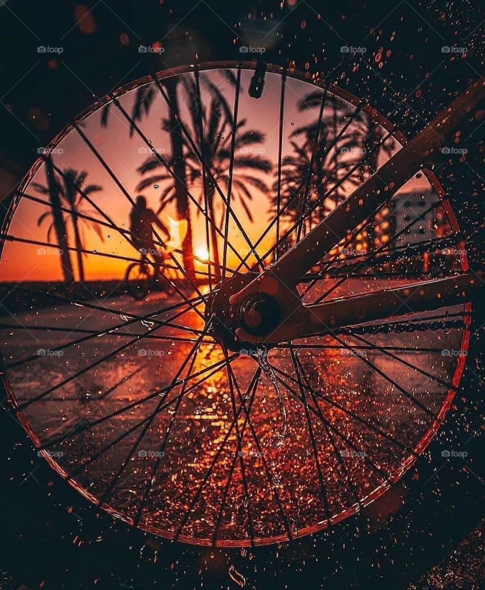 A bicycle of the Sunday evening times