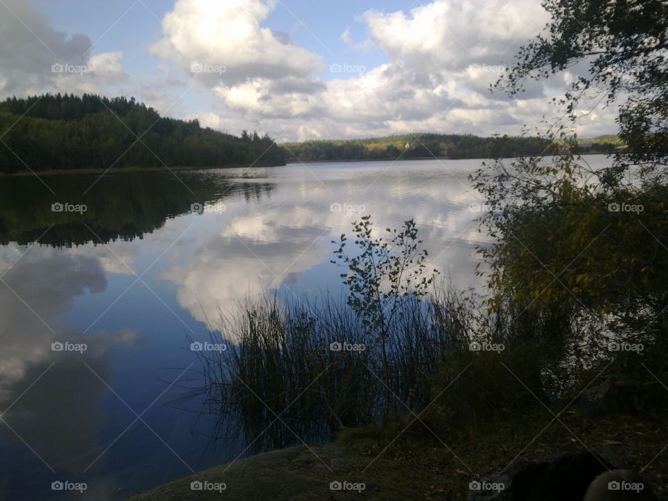 Landscape, Lake, River, Reflection, Water