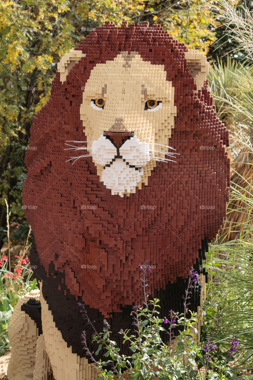 LEGO Lion