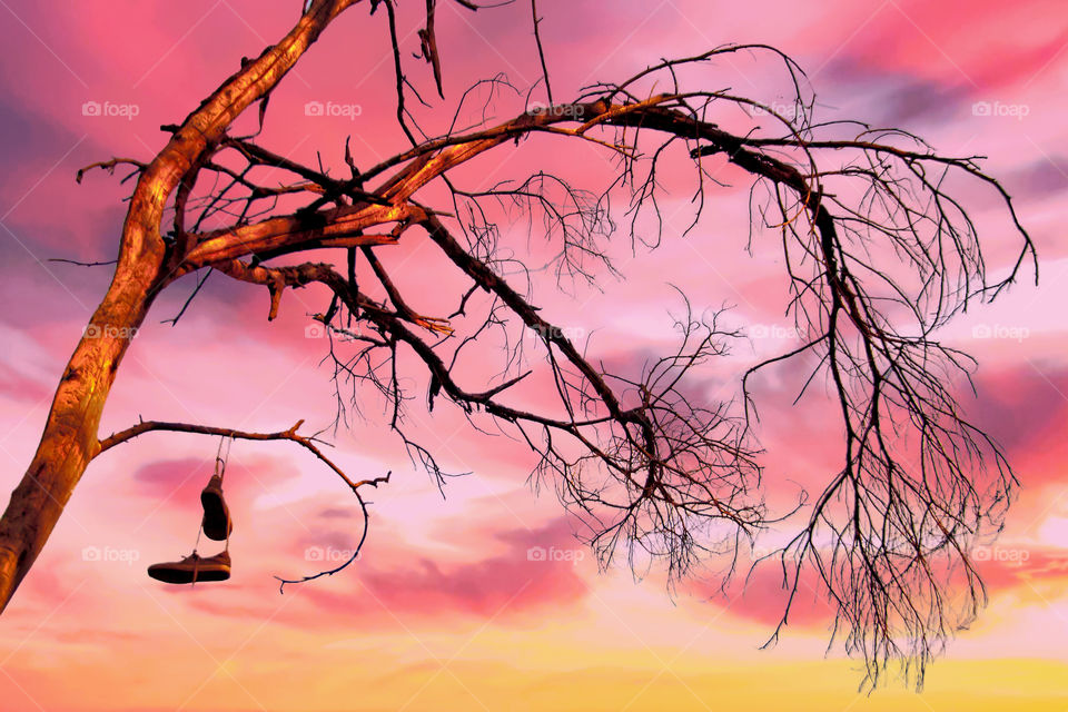 Johnny Where's Your New Joggers I Bought You