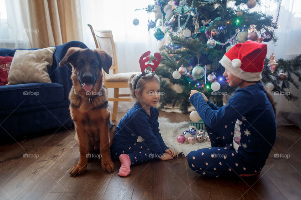 Little sisters with German shepherd puppy near Christmas tree 