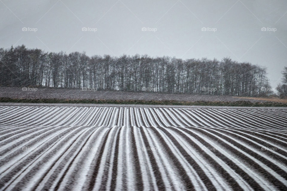 Snowy Scottish farm