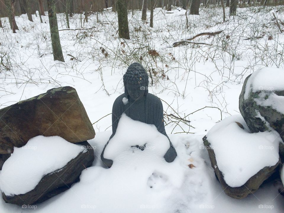 Frozen Buddha 
