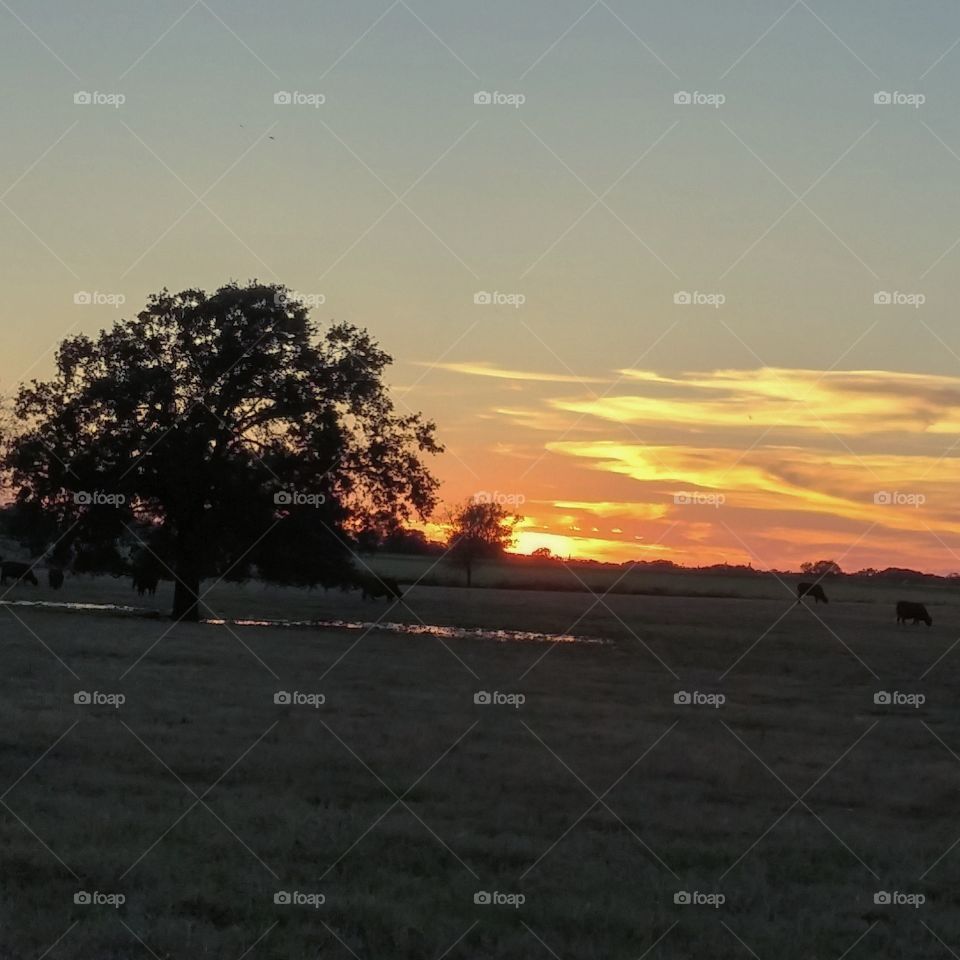Texas sunset. North of Athens, TX, Nov 9, 2015