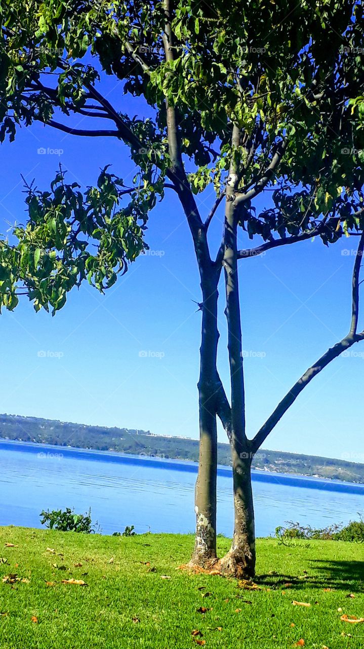 paisagem a beira do lago Paranoá.