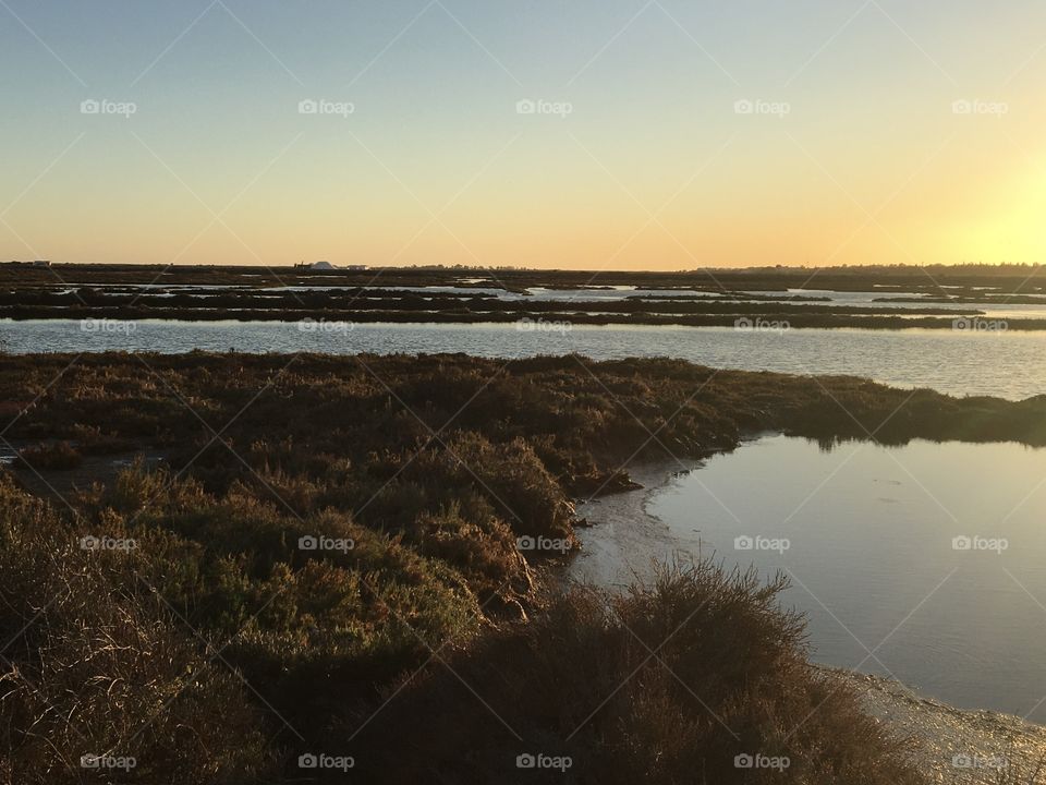 Salt marshes at sunset
