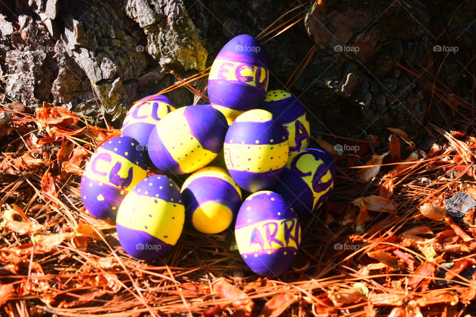 ECU themed Easter Eggs 