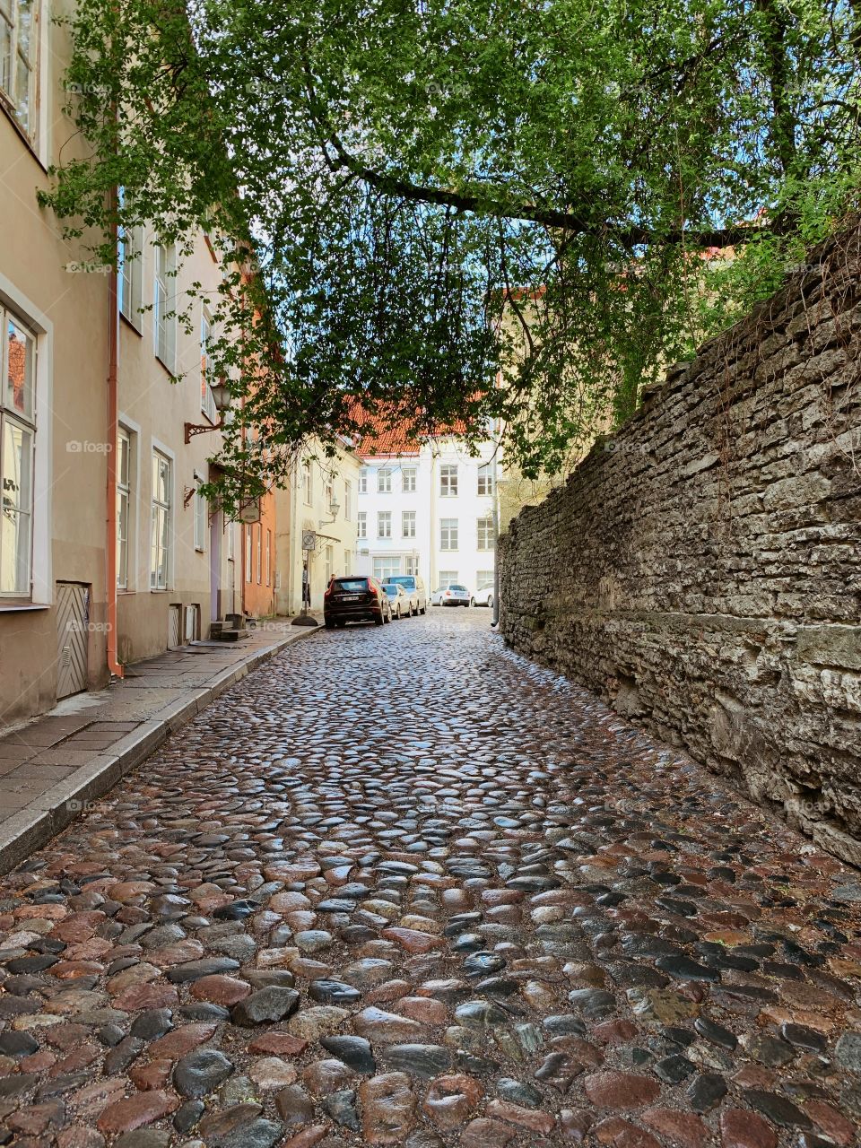 Walking along a quite sunny street! Look, there is no people here!