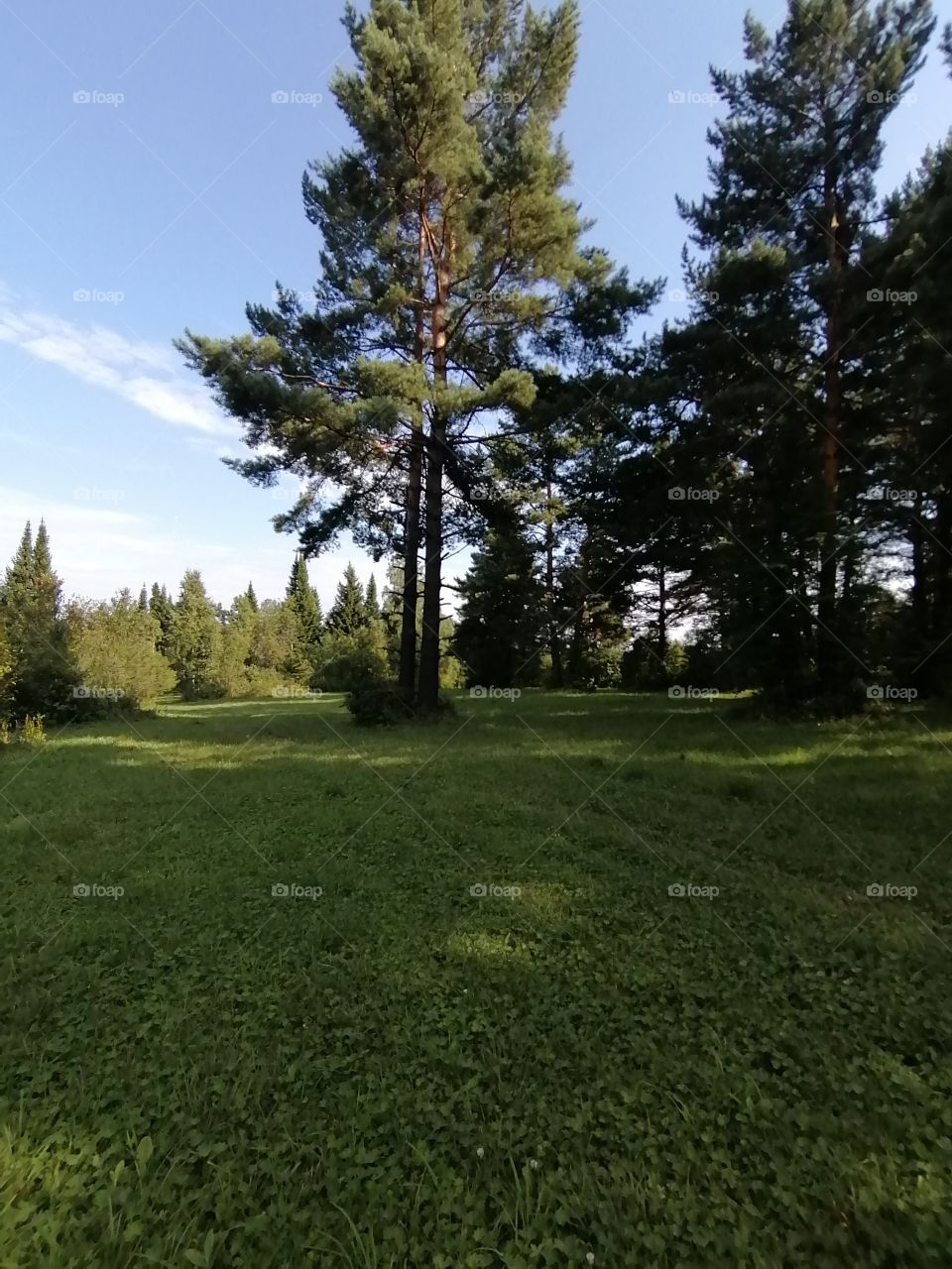 The nature of Russia