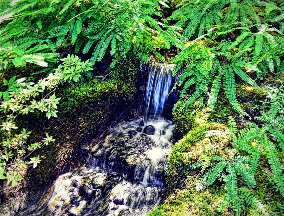 Miniature waterfall!