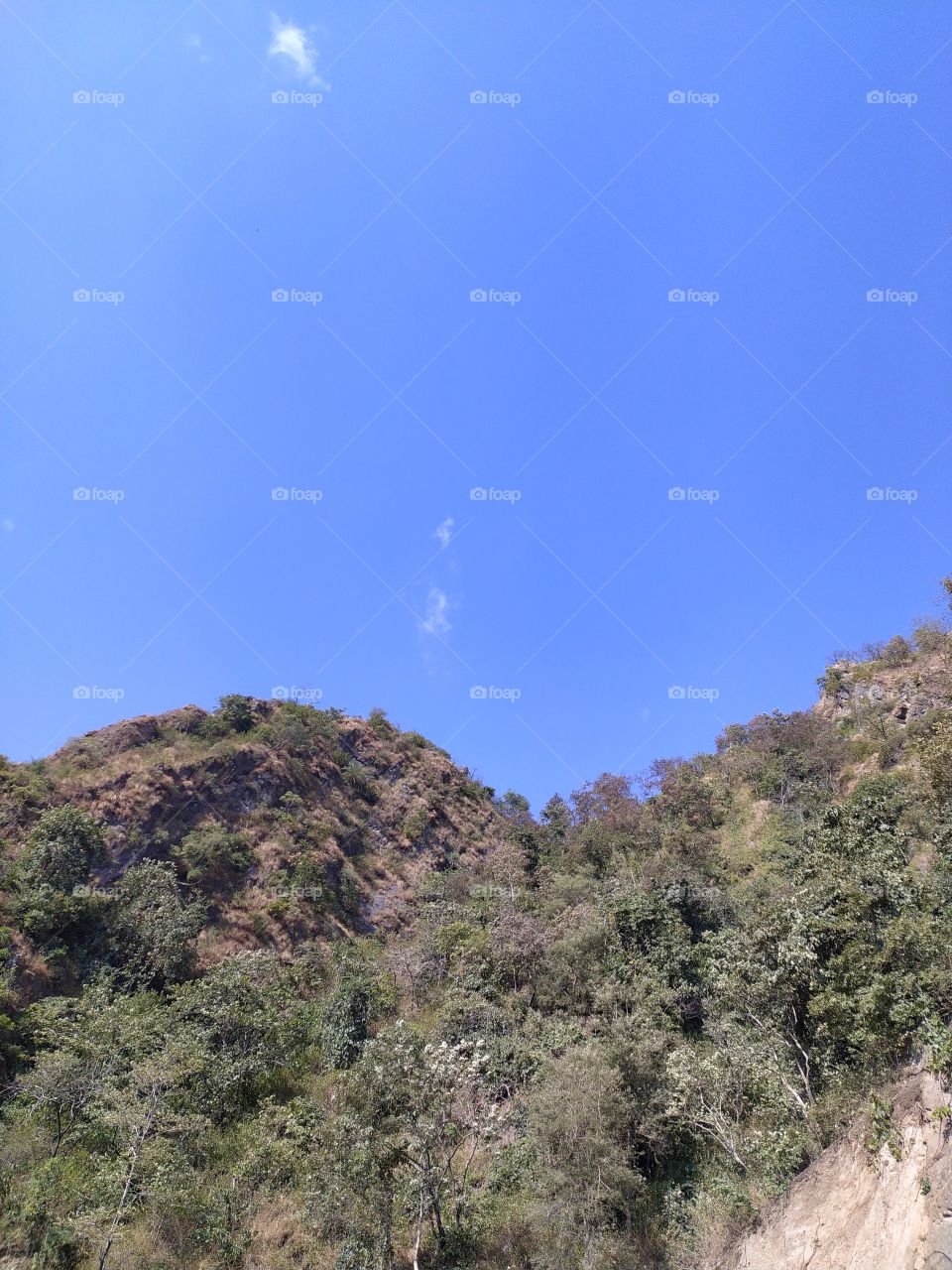 Hills and forest on the way to Rishikesh