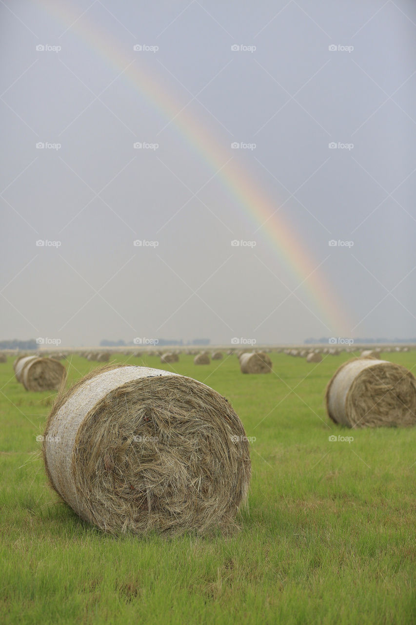Bale of hay with rainbow
