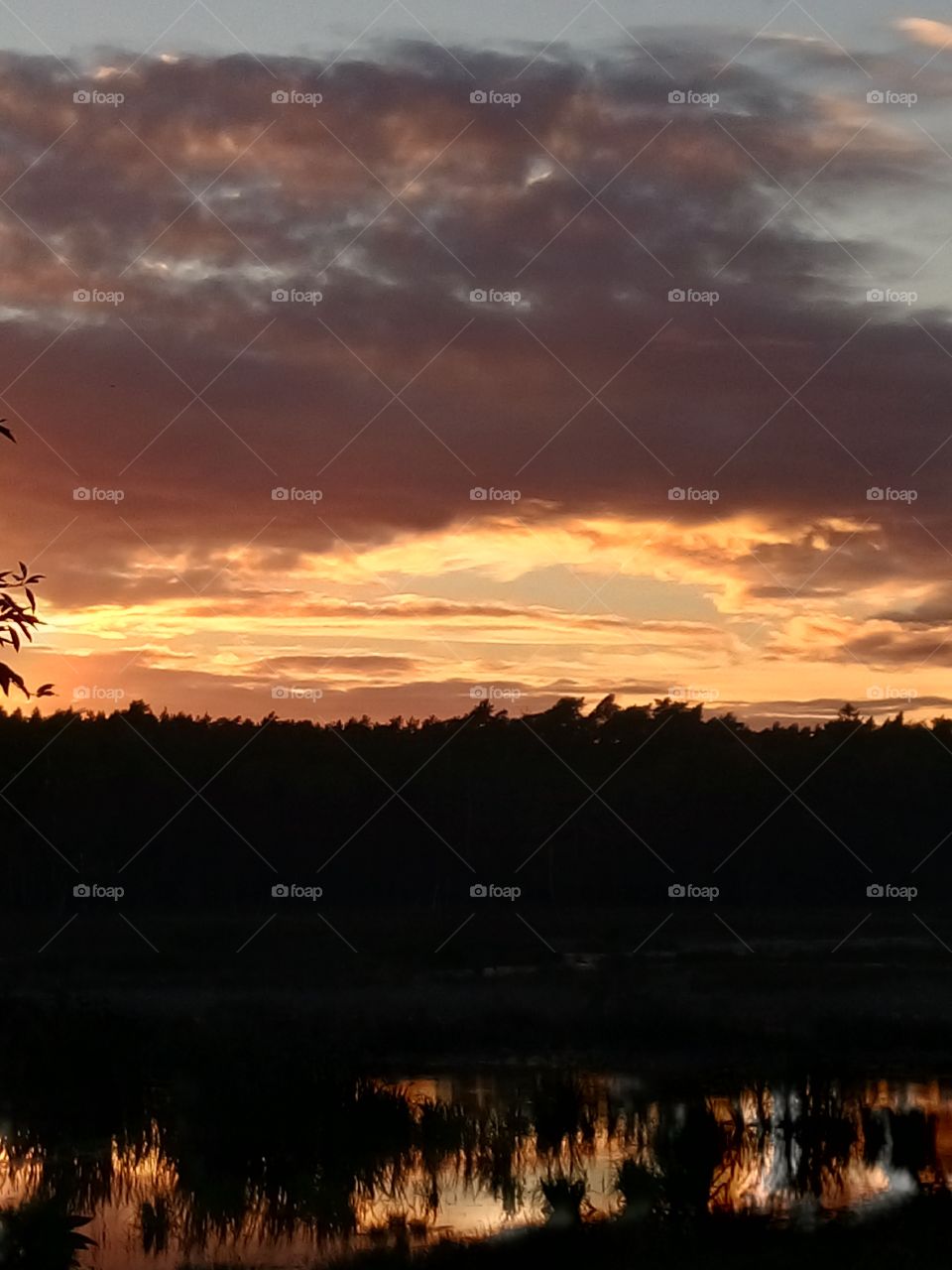 polish nature,  evening at the river pool