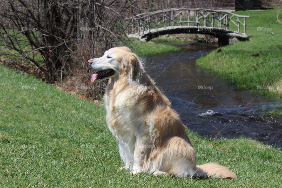 Hanging out at our favorite park on a beautiful spring day