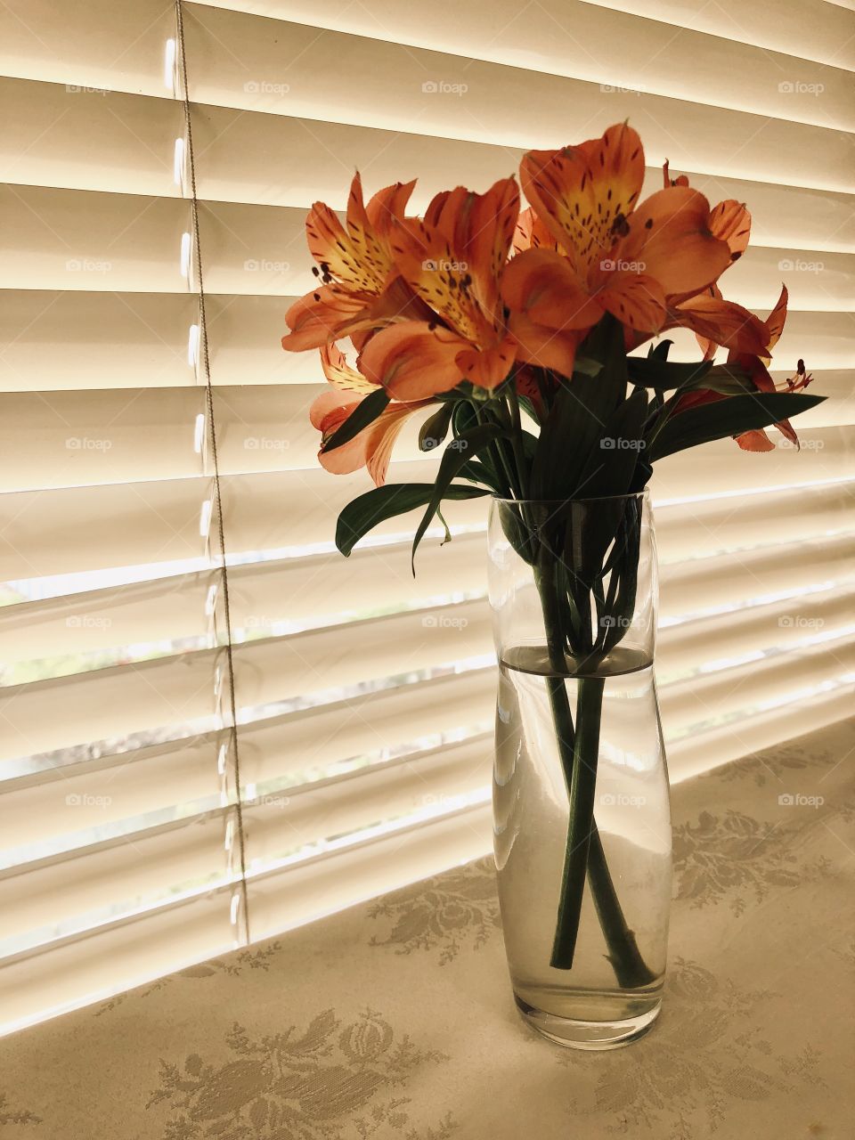 Flowers in the window 