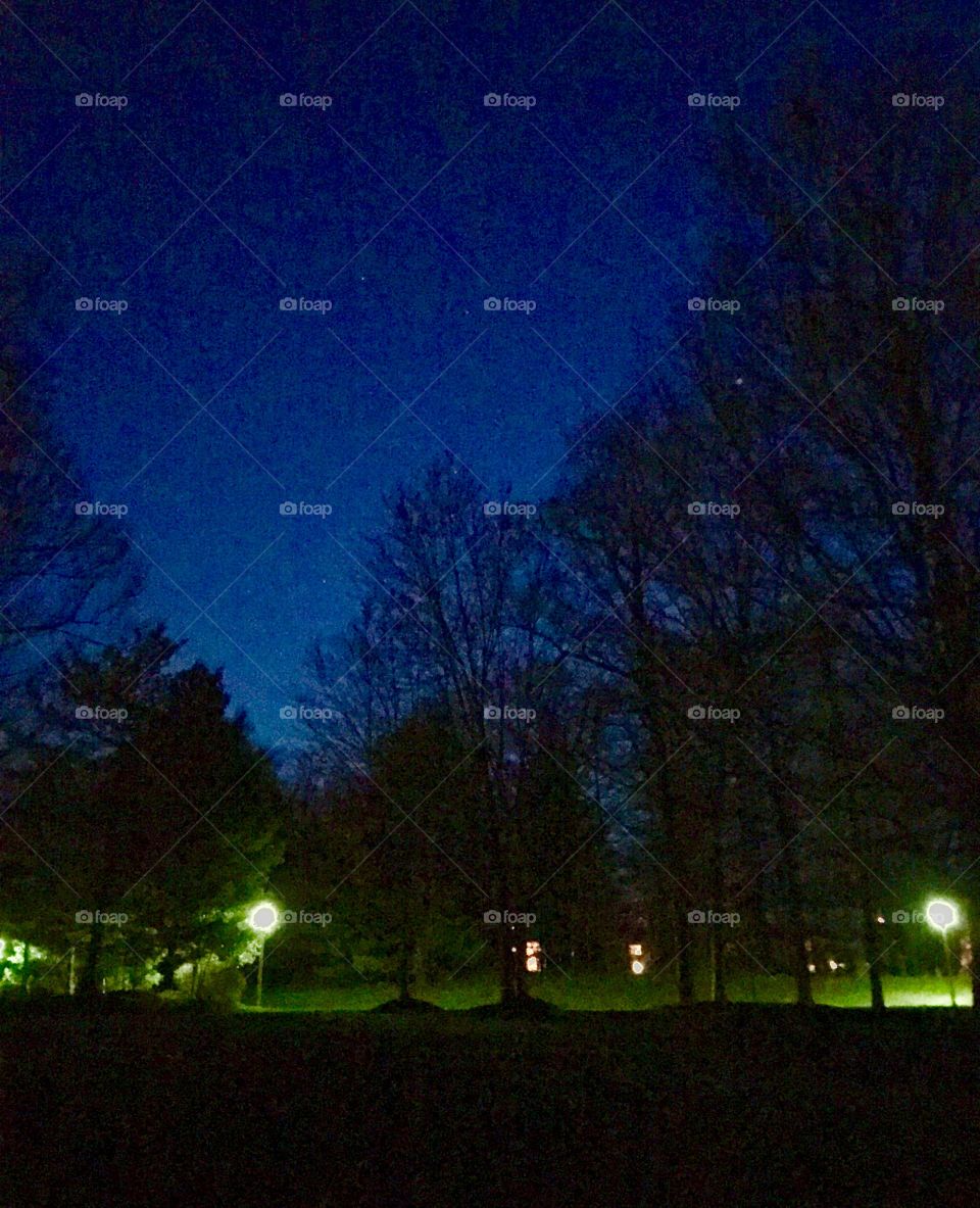 Moody Suburban Evening Backyard Lonely Winter Trees with Magic Evening Light