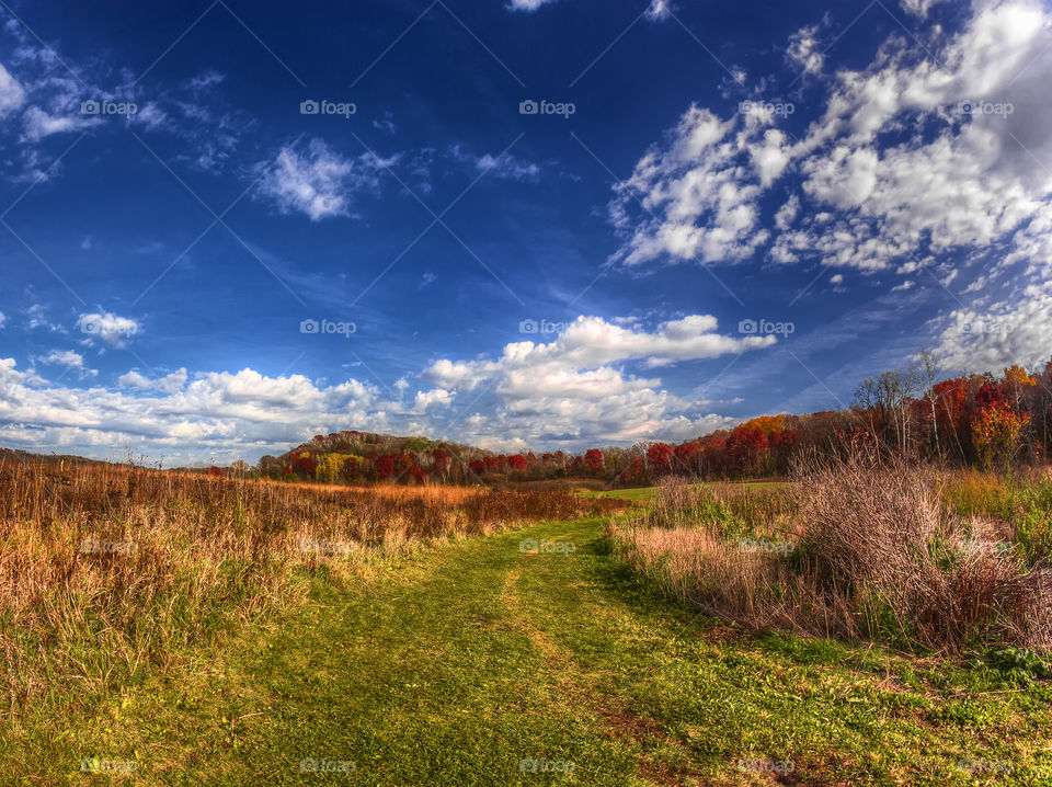 Fields of Autumn