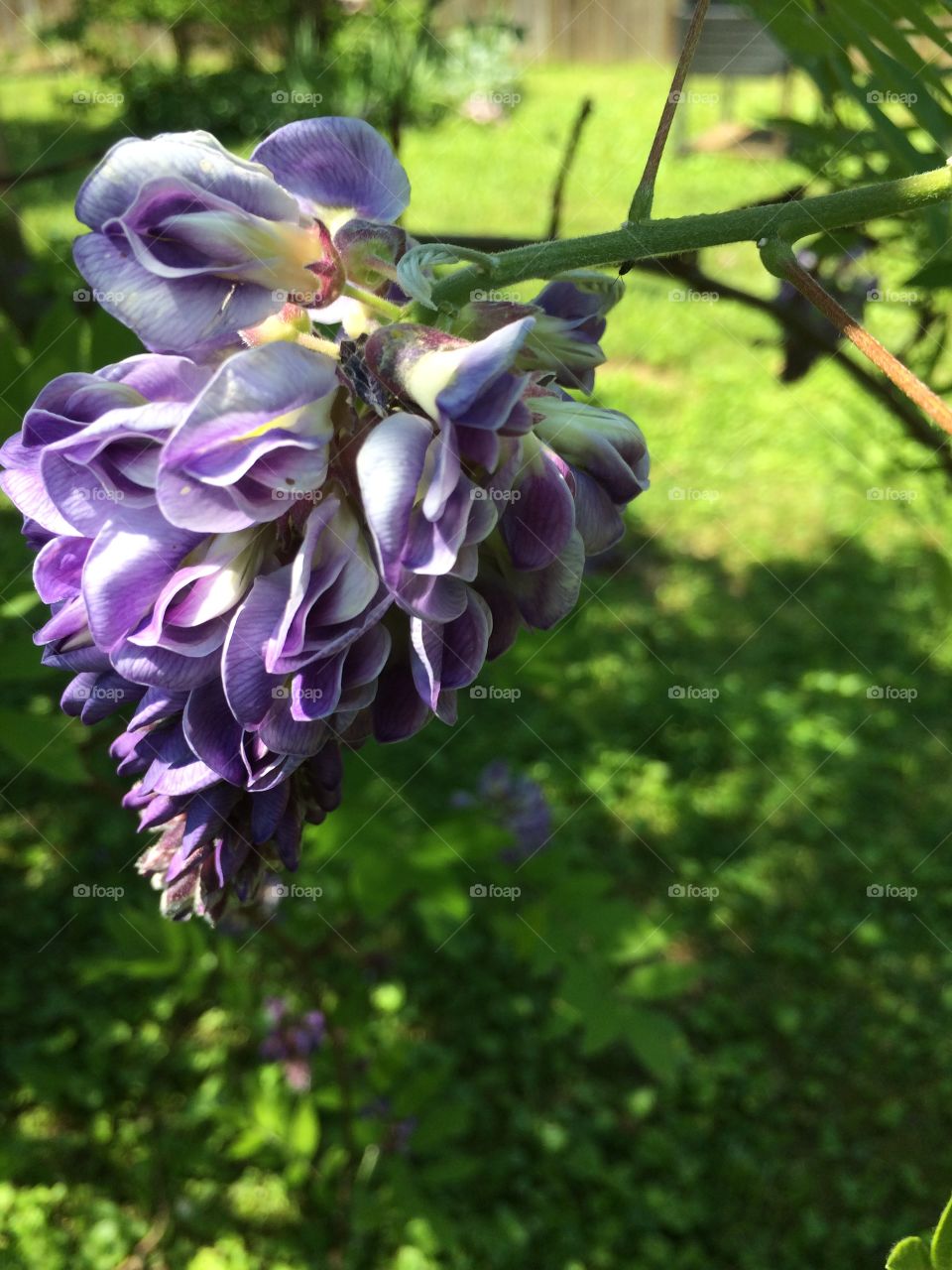 The beginning of Spring 