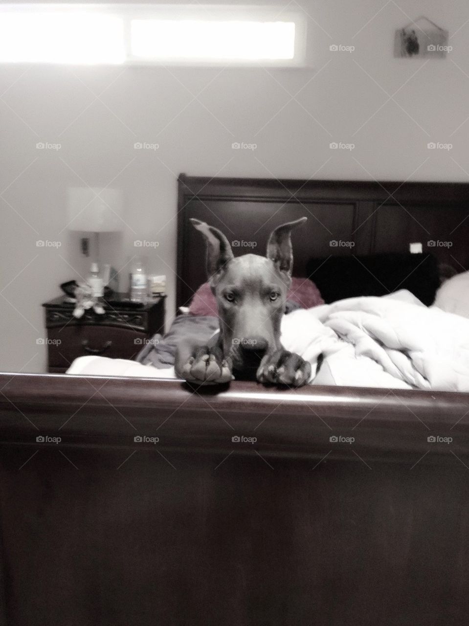 Whatcha doin mamma ?