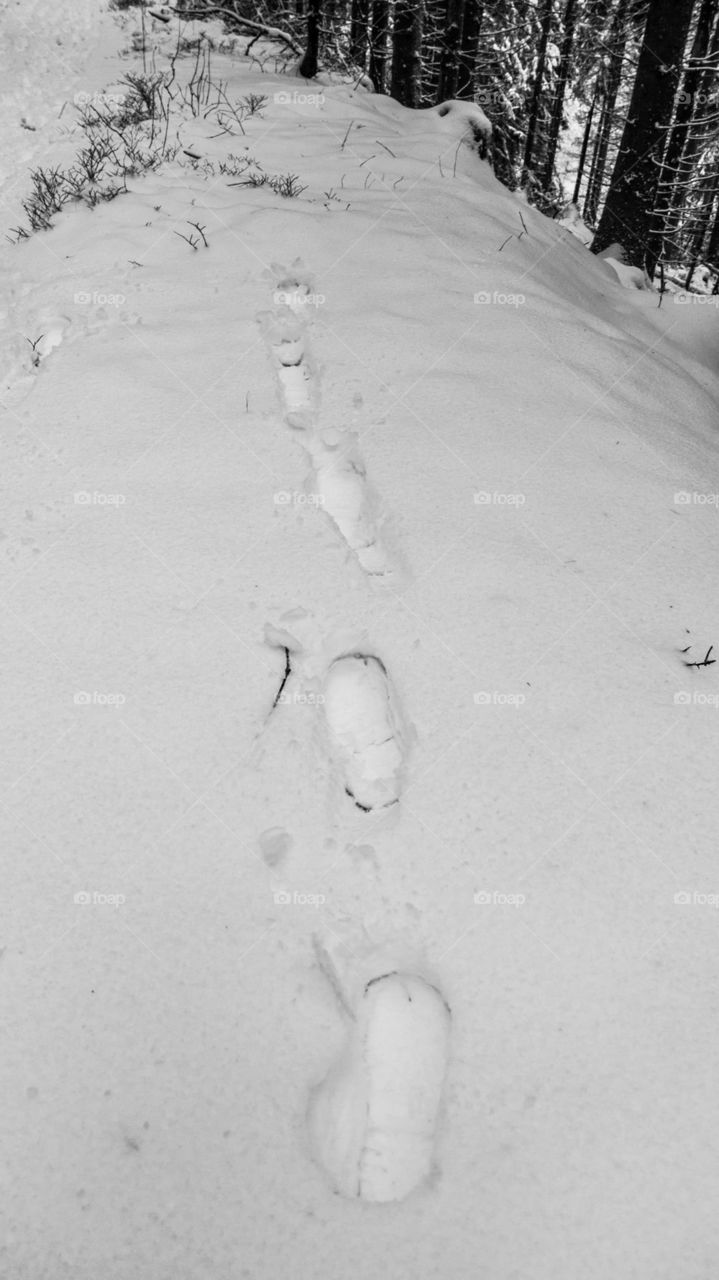 footsteps in the snow