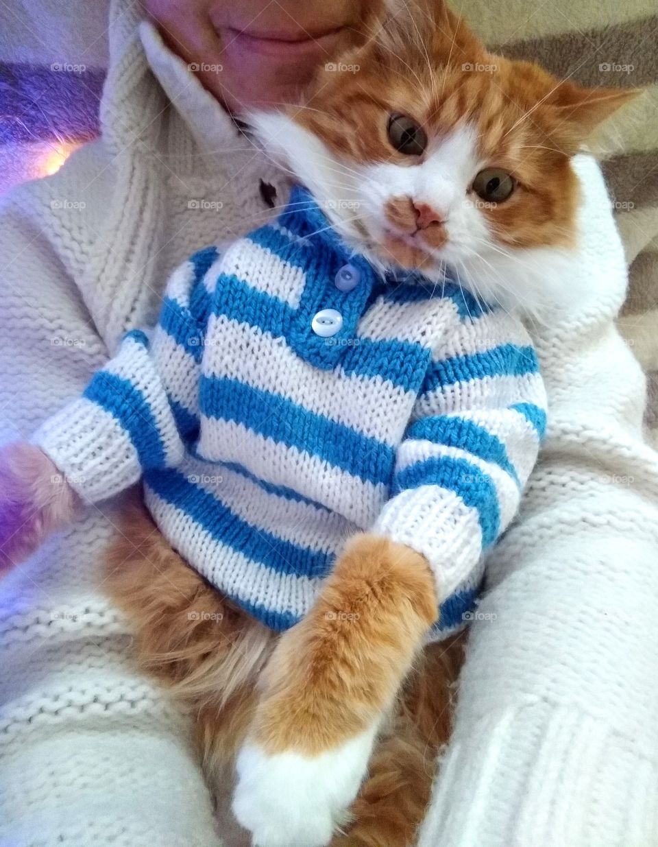 selfie girl with cat pet in the sweater