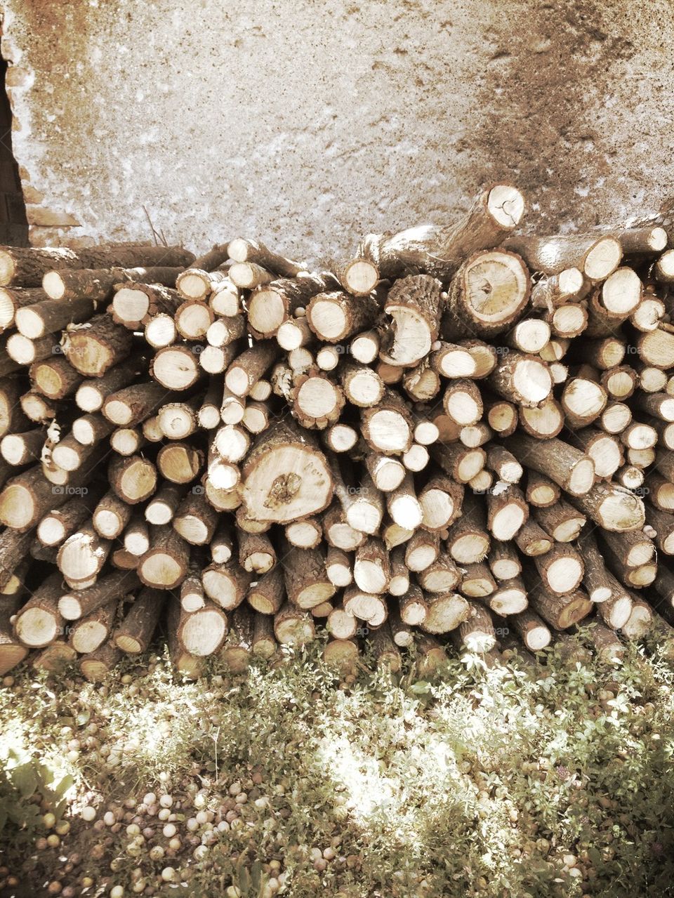 Logs
