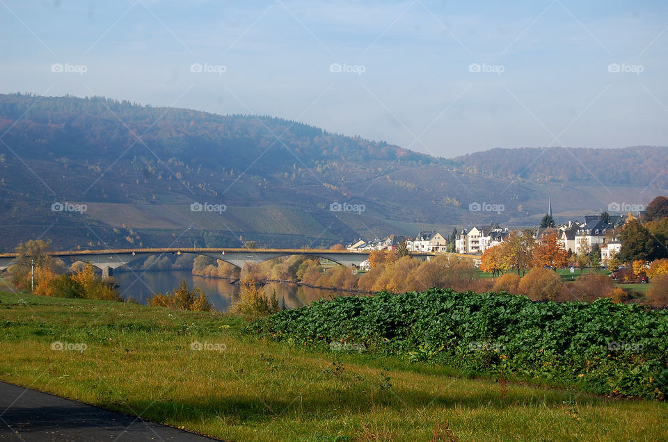 Fall foliage along the Mosel River in Germany. 